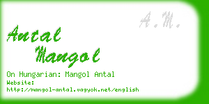 antal mangol business card